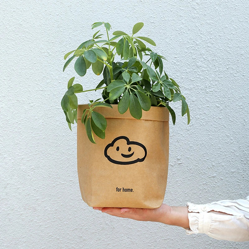 Cartoon Waterproof Kraft Paper Bag Reuseable Multifunction Home Storage Bag Flower Succulents Plant Pot Holder Kitchen Food Pot